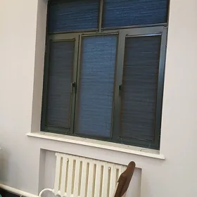 zalyus