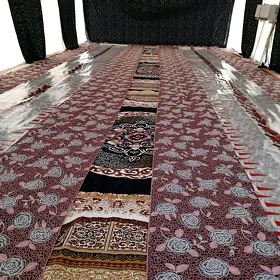 palata