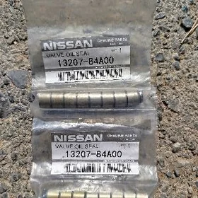 nissan Serena sunny klapyn sal