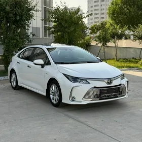 Toyota Corolla 2025