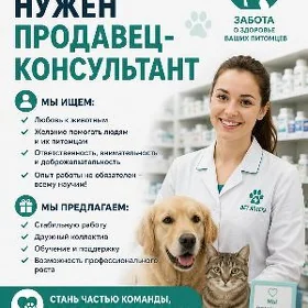 продавец консультант