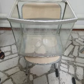 Akwaryum