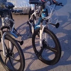 spartivny bmw