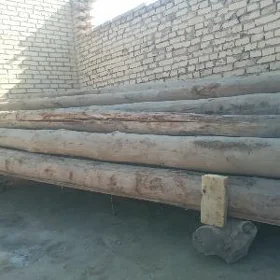 Агач Balar