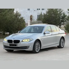 BMW F10 2010