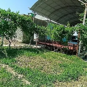 план жай