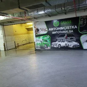 Moysik