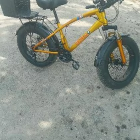 tigir 20lik