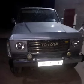 Toyota Land Cruiser 1989