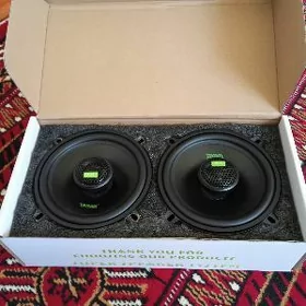 Tenbx kalonka