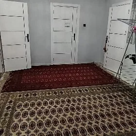 satlyk iay