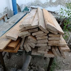 Agaç tazeje