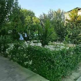 Cogalny Cyzgy Kotej