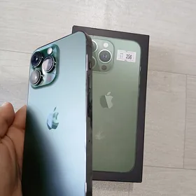 iPhone 13 pro