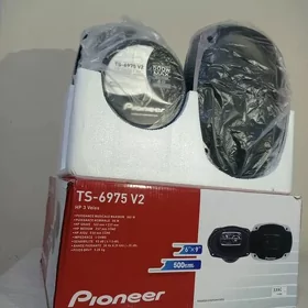 Pioneer 500 W MAX