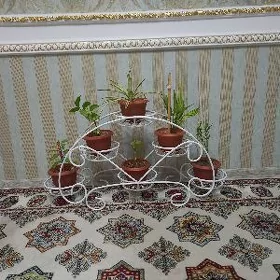 gül goýulýan