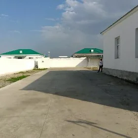 Gökdepe Kelejar elitka