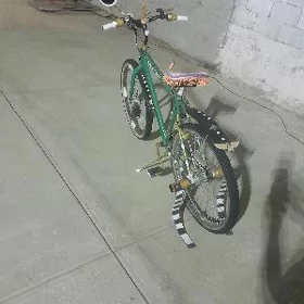 ТИГИР