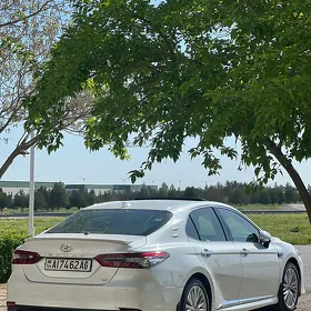 Toyota Camry 2019