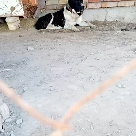 it