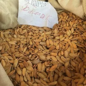 Grusa gawun Bisek gawun