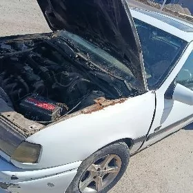 opel sokum