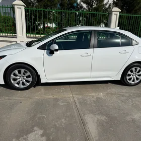 Toyota Corolla 2024