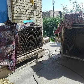 jüyje ketek