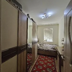 Satlyk jaylar