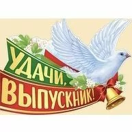 ️ Kepderi️ Голуби️