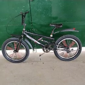 tigir