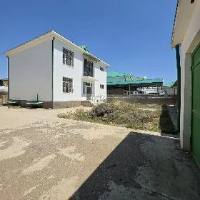 Anew Gos Kotež Satlyk! 8sotyk