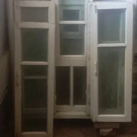 Ağaç aýna