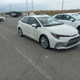 Toyota Corolla 2022