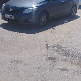 Toyota Corolla 2010