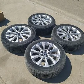 awalon morda disga R17