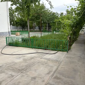 Taze Zaman