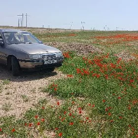 Opel Vectra 1991