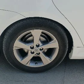 Exlisiw dishka Karolla