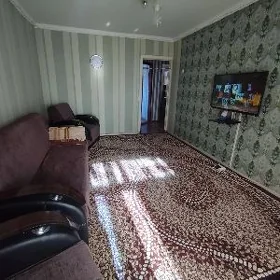 Палас
