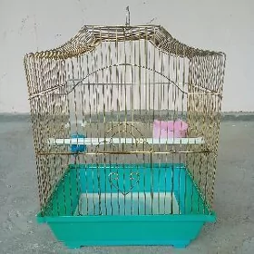 клетка kletka