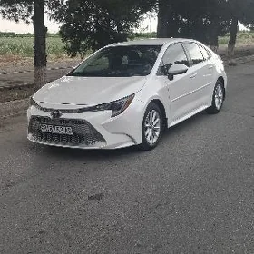 Toyota Corolla 2020