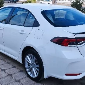 Toyota Corolla 2021