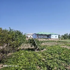 Satlyk jaý