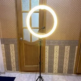 lampa
