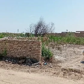 затон дача 20 сотка