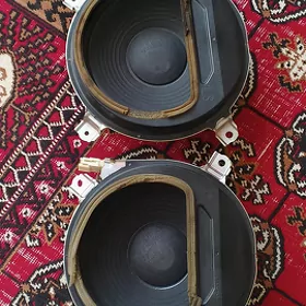 Taýata Bass boçga