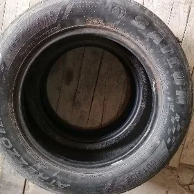 ayak
