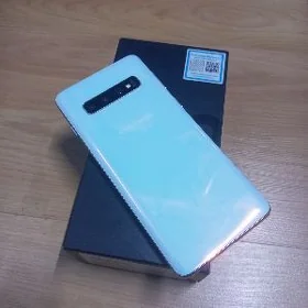 s10
