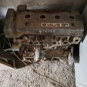 carolla mator